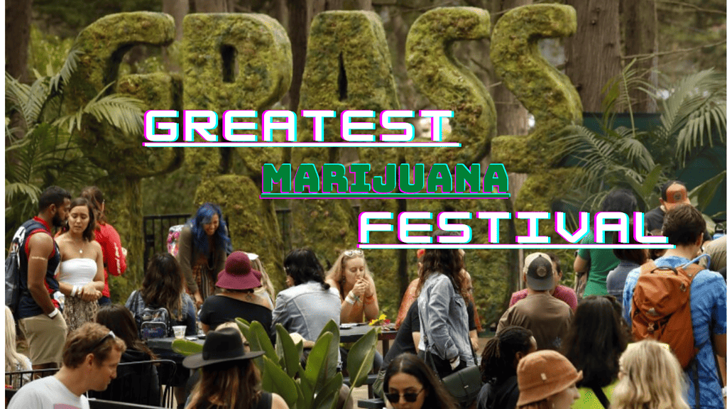 The Greatest Cannabis/Marijuana Festival Ever