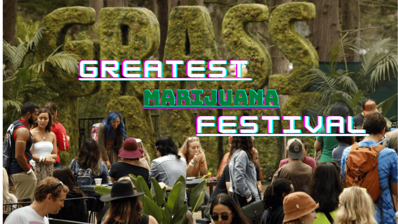 The Greatest Cannabis/Marijuana Festival Ever