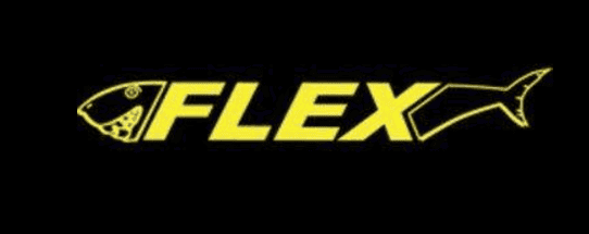 Flex - Logo