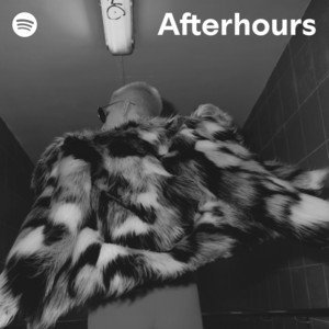 “Afterhours” Playlist on Spotify - Techno Playlist Cover “Afterhours” Playlist on Spotify - Techno Playlist Cover