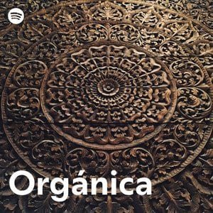 “Orgánica” Playlist on Spotify - Techno Playlist Cover “Orgánica” Playlist on Spotify - Techno Playlist Cover