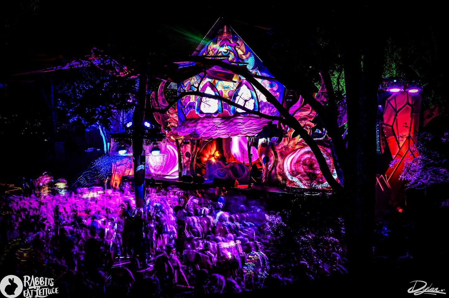 Rabbits Eat Lettuce (Brisbane, Australia) 2025 Rabbits Eat Lettuce (Brisbane, Australia) 2025