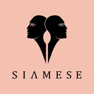 “Sound of Siamese” Playlist on Spotify - Techno Playlist Cover “Sound of Siamese” Playlist on Spotify - Techno Playlist Cover