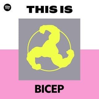 This Is BICEP playlist cover on Spotify