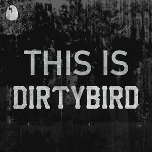 “THIS IS DIRTYBIRD” Playlist on Spotify - Techno Playlist Cover “THIS IS DIRTYBIRD” Playlist on Spotify - Techno Playlist Cover