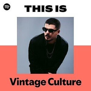 “This Is Vintage Culture” Playlist on Spotify - Techno Playlist Cover