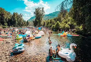 Shambhala Music Festival (Salmo, Canada) 2027