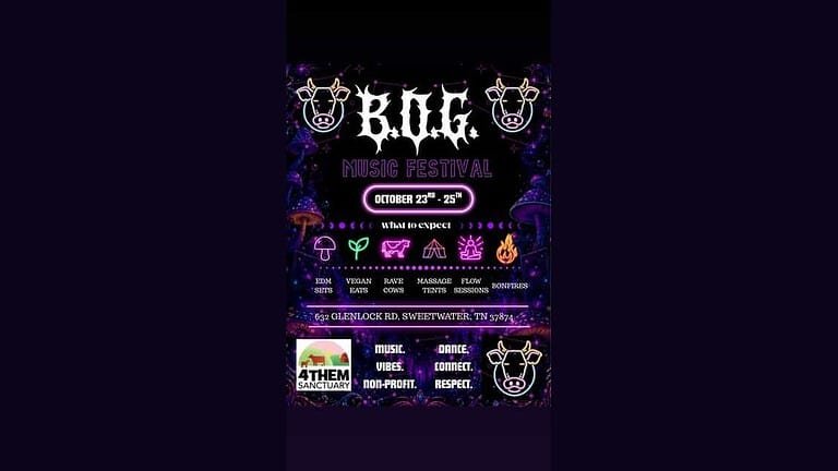 bog music festival 2026 poster
