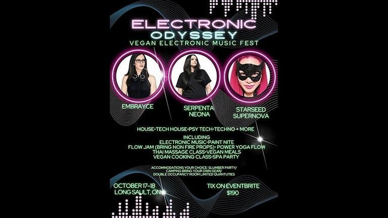 Electronic Odyssey