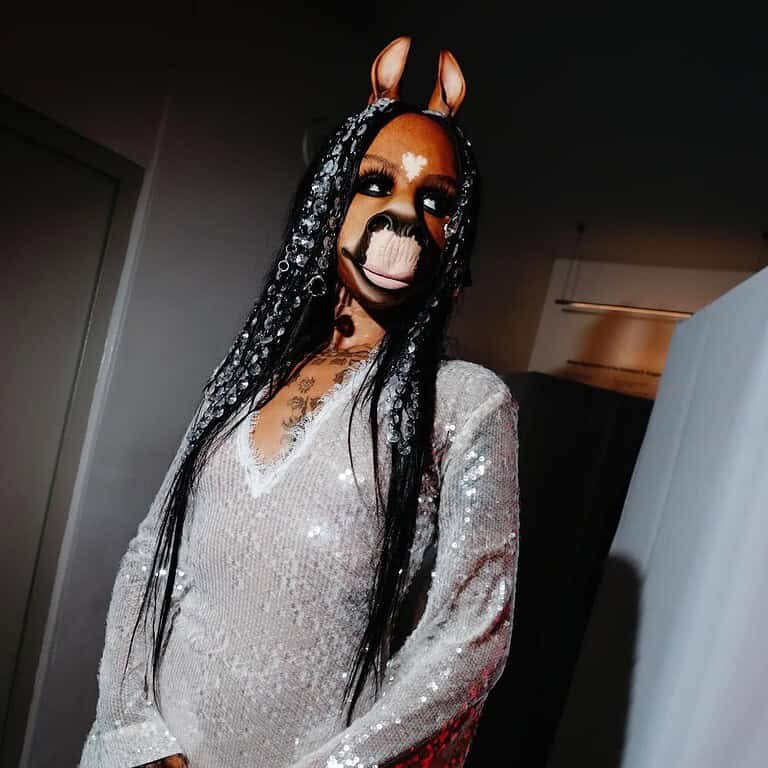 horsegiirL horsegiirL