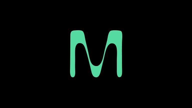 mint festival 2027 poster