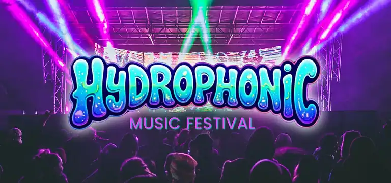 music festival 1