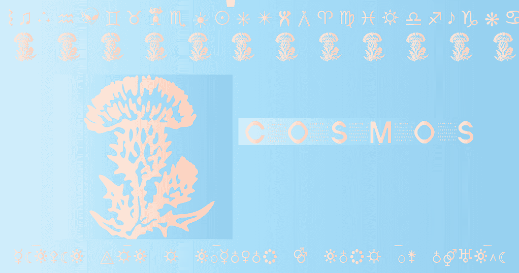 Cosmos Festival, Chapadmalal, Argentina