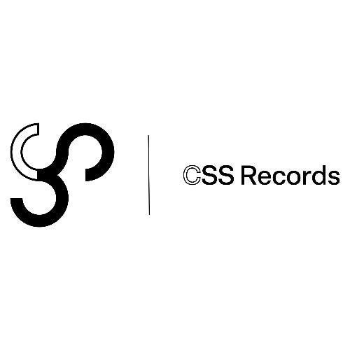CSS logo