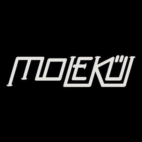 Molekül logo
