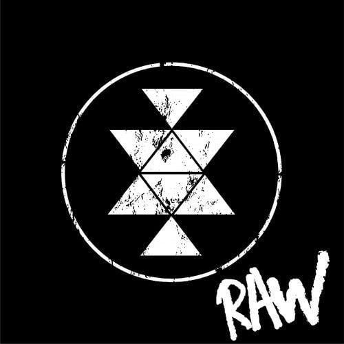 Solid Grooves Raw logo